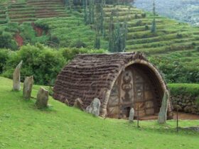 Best Places To Visit in Ooty
