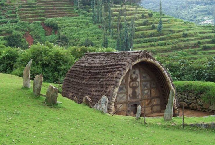 Best Places To Visit in Ooty