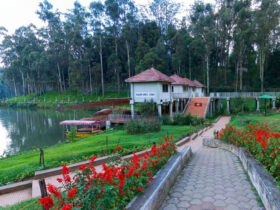12 Best Honeymoon Places in Ooty For A Memorable Vacation
