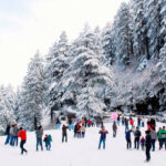 8 Best Places To Visit in Shimla in December