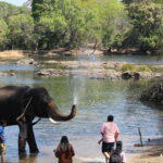 Activities At Dubare Elephant Camp