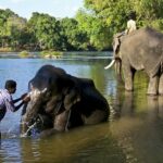 River Rafting At Dubare Elephant Camp