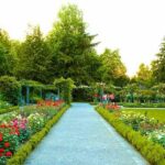 rose garden chandigarh