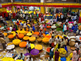Krishna Rajan Market Bangalore - Timings, Entry Ticket, Best Season, Attractions & More