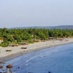 Arambol Beach Goa - Timings, Entry Ticket, Best Season, Attractions & More