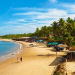 Candolim Beach Goa - Timings, Entry Ticket, Best Season, Attractions & More
