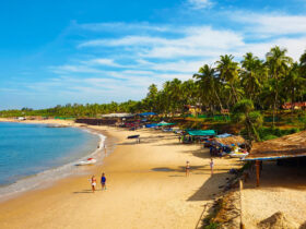 Candolim Beach Goa - Timings, Entry Ticket, Best Season, Attractions & More