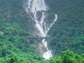 Dudhsagar Waterfalls in Goa