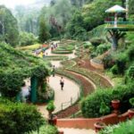 Botanical Garden Chandigarh - Timings, Entry Ticket, Best Season, Attractions & More