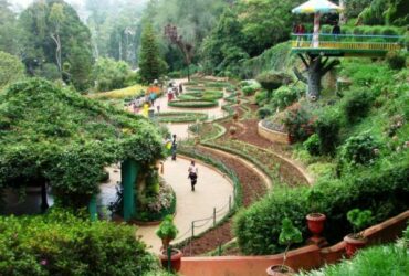 Botanical Garden Chandigarh - Timings, Entry Ticket, Best Season, Attractions & More