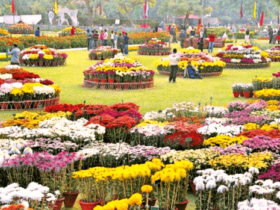 Terraced Garden Chandigarh - Timings, Entry Ticket, Best Season, Attractions & More