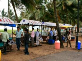 Best Places To Enjoy Street Food In Goa