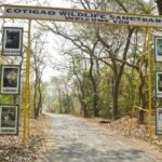 Popular Wildlife Sanctuaries in Goa