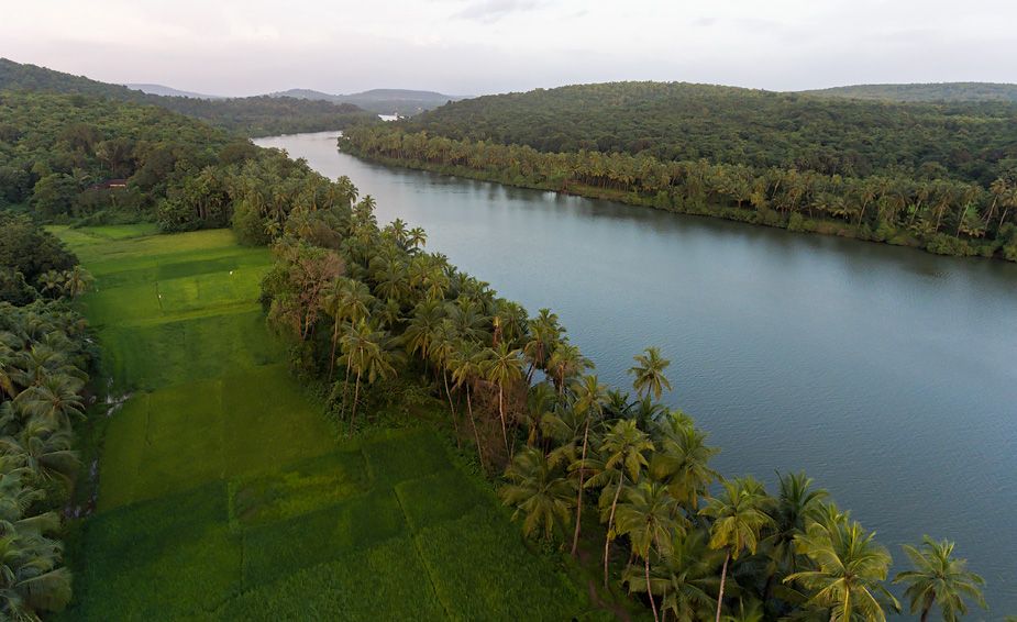 Chapora River Goa - Timings, Entry Fee, Best Season, Attractions & More