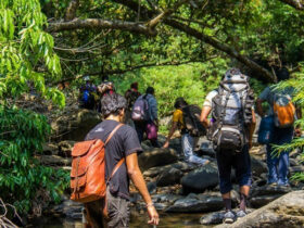 Top 14 Trekking Trails in Goa - A Complete Guide