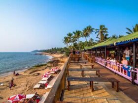 Curlies Goa - Timings, Entry Ticket, Best Season, Attractions & More