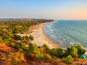 offbeat things to do in goa