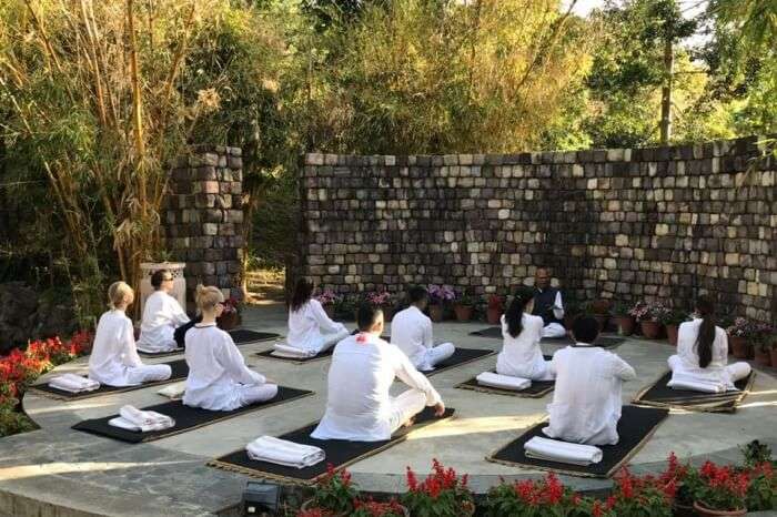 12 Yoga Retreats Near Delhi for Mind and Body Wellness